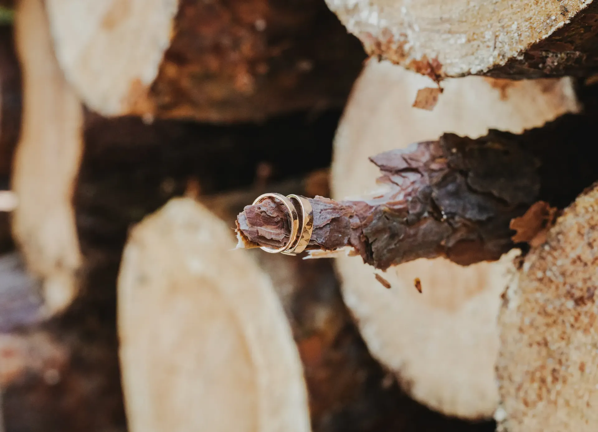 50mmfreunde Hochzeit RittergutPositz-StadtkircheJena-KM 039